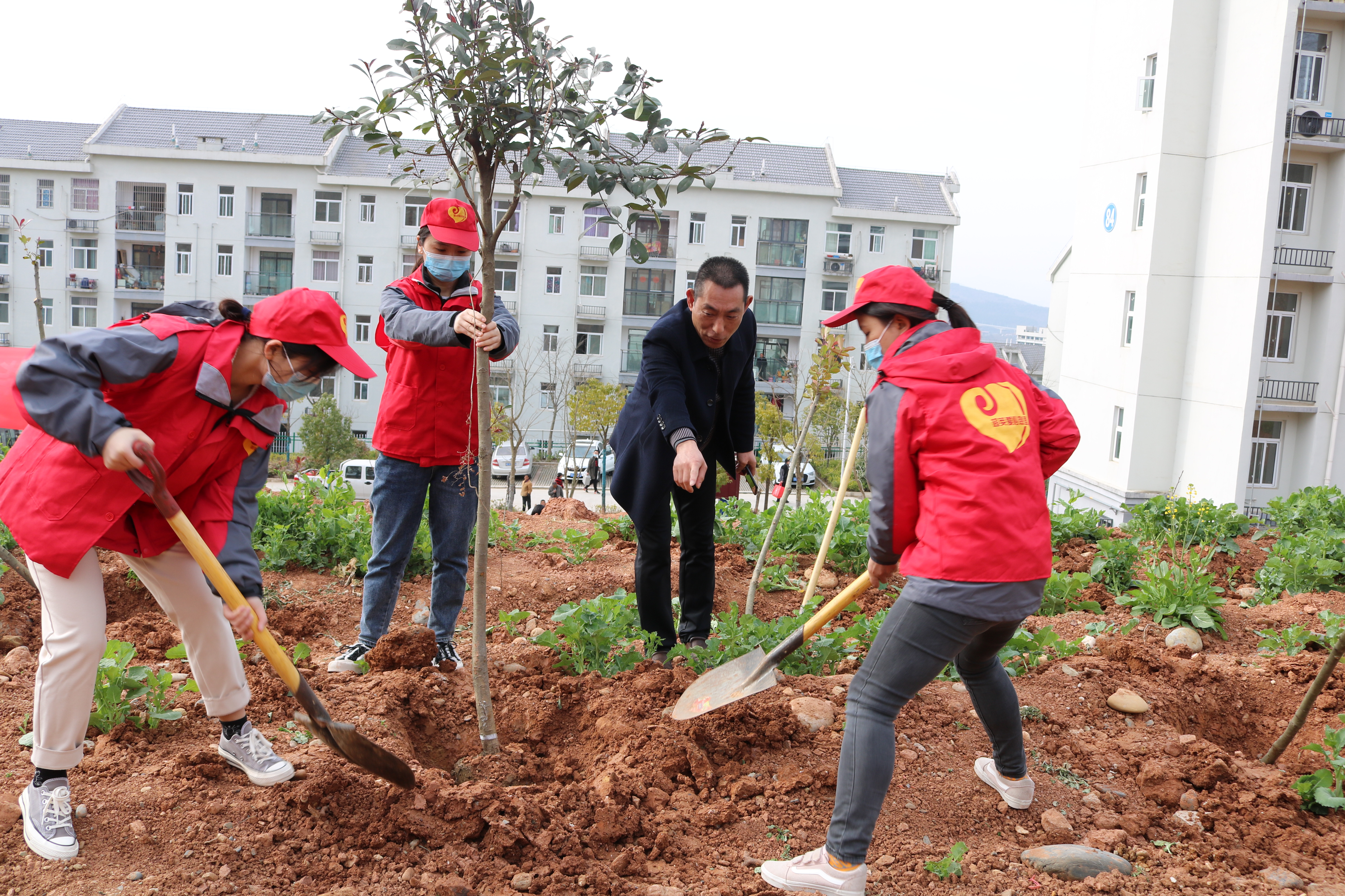 义务植树过程照片 (5).jpg