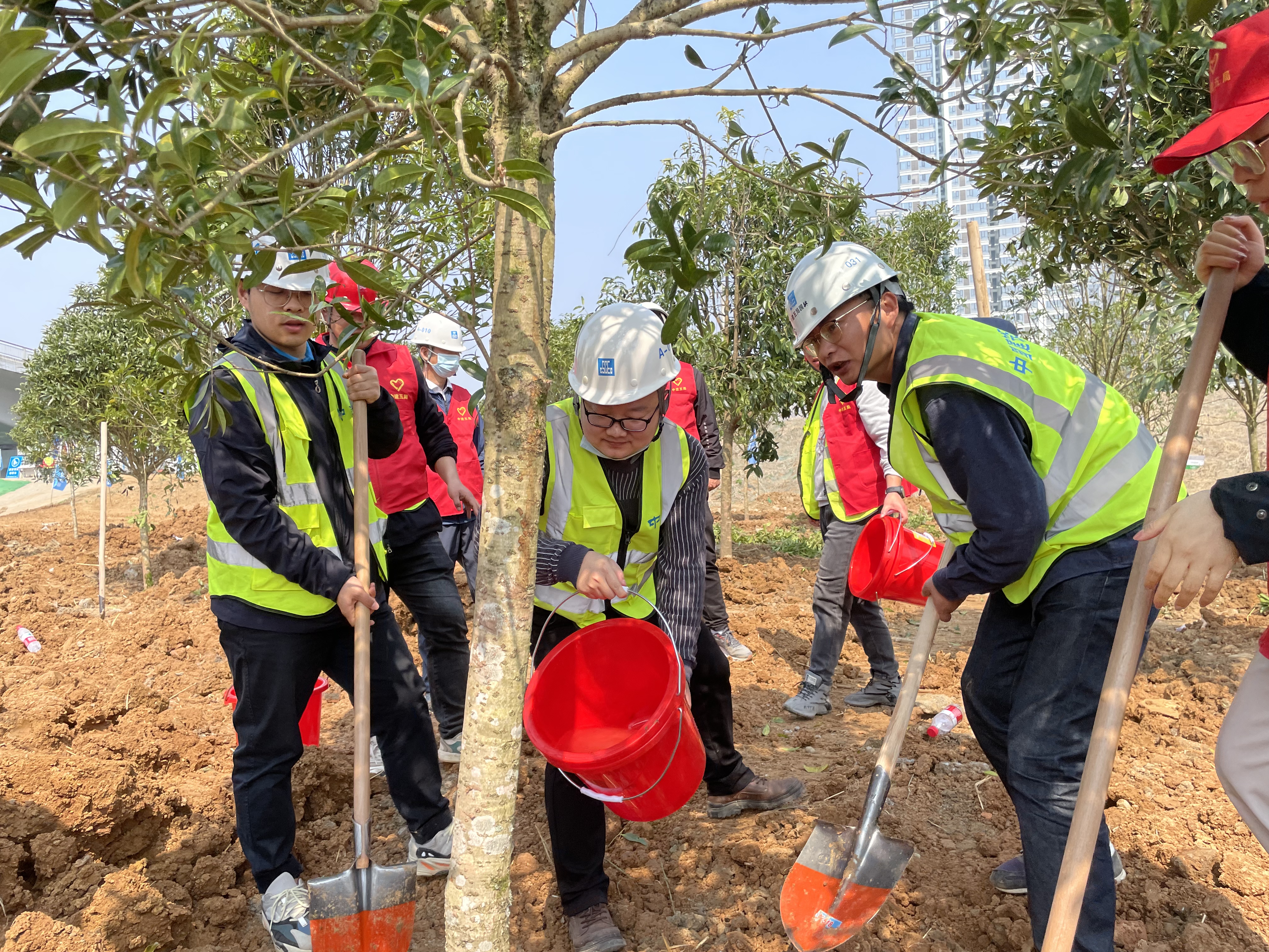 项目负责人彭炎龙与青年员工共同植树.jpg