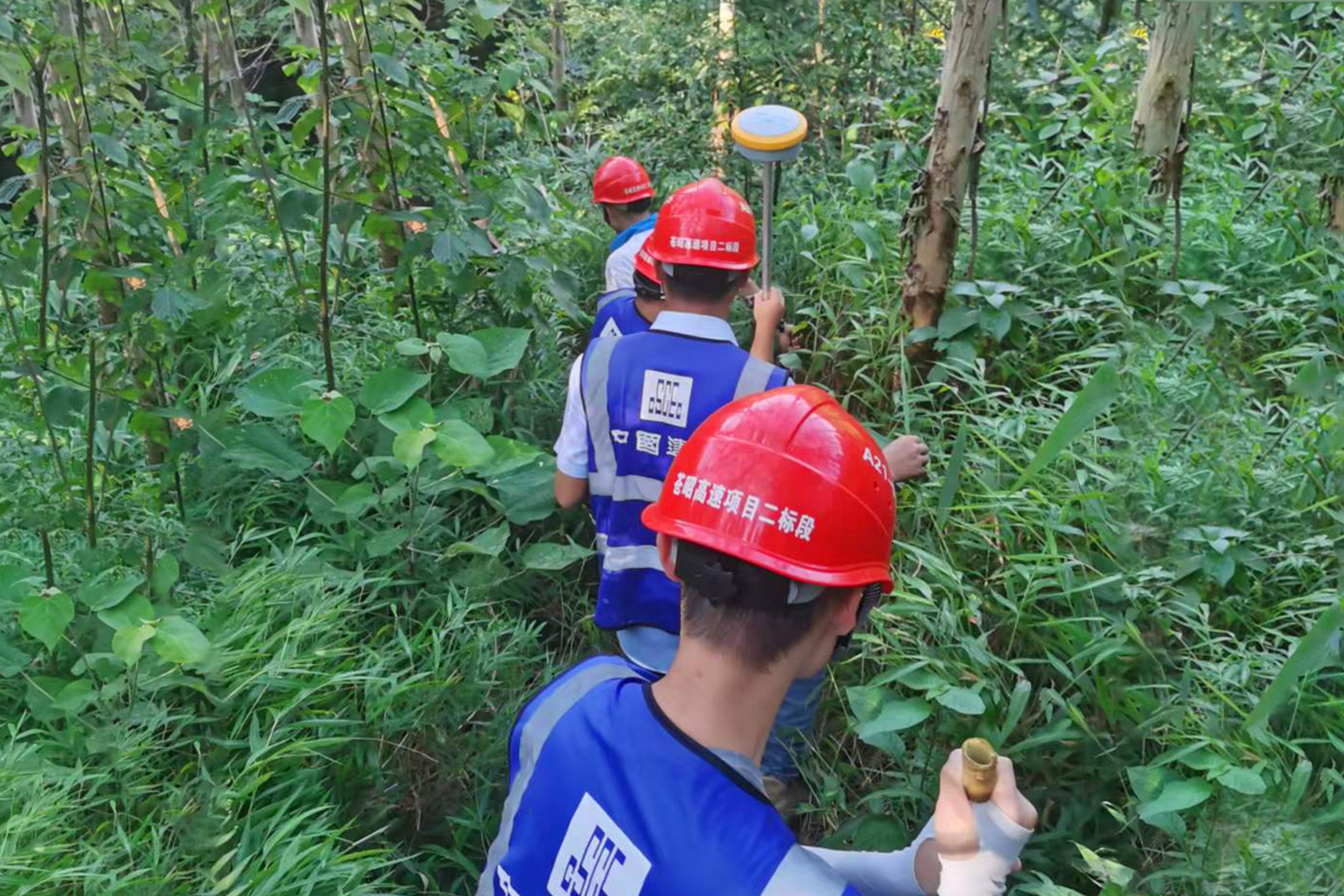 高温下，测量员坚守岗位，穿越茂密草丛开展测量工作.jpg