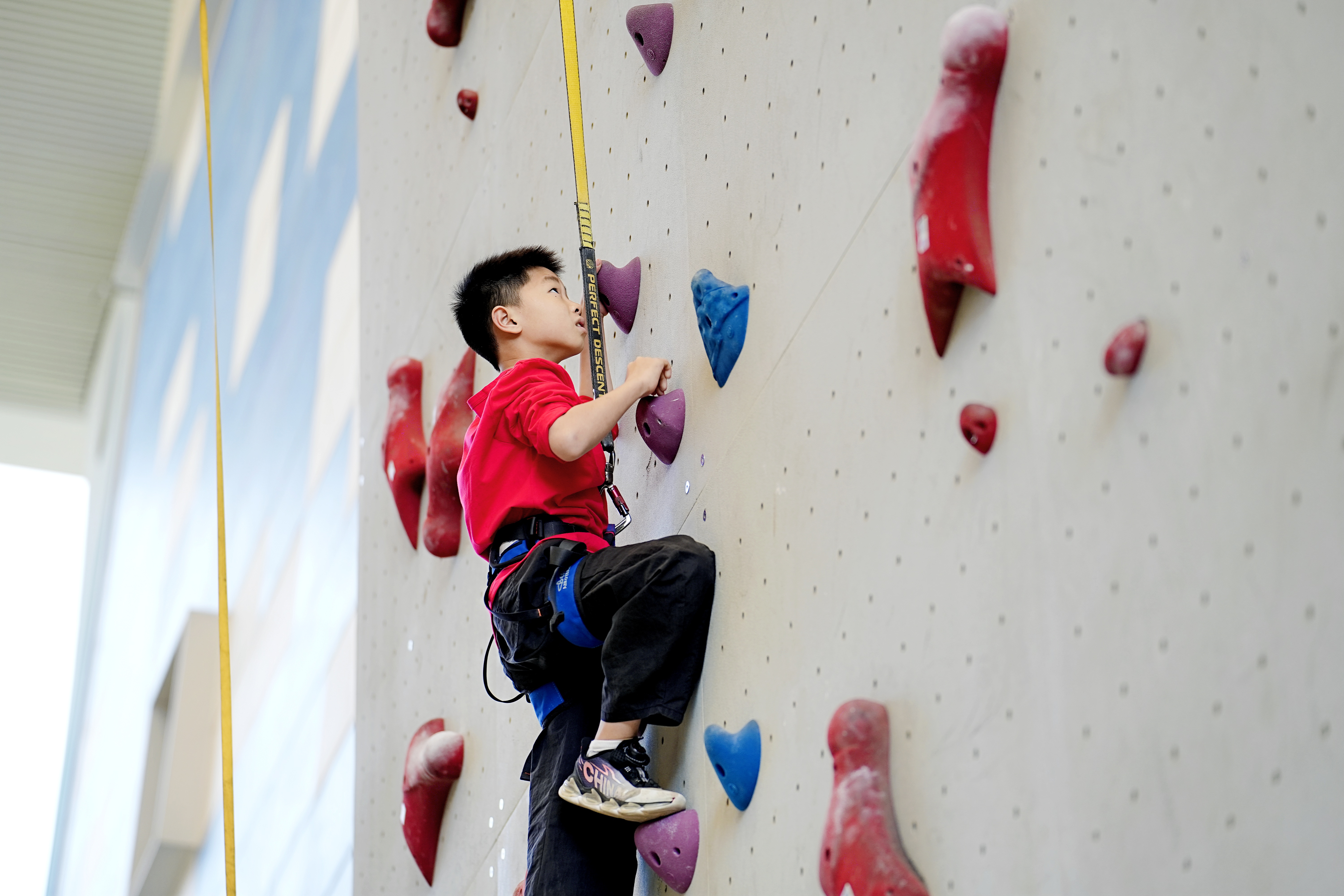 少儿攀岩.jpg 少儿攀岩.jpg